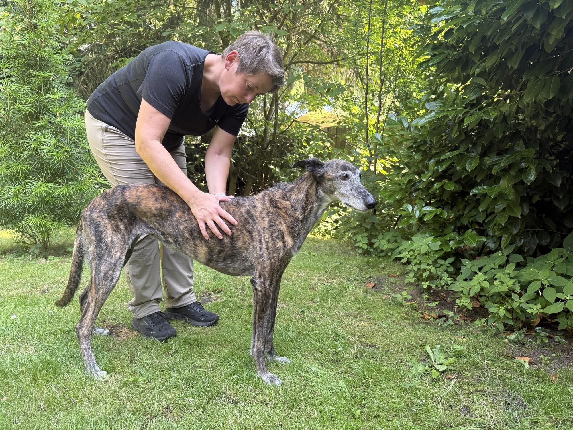 physiotherapie-hund-schneverdingen Physiotherapie für Hunde